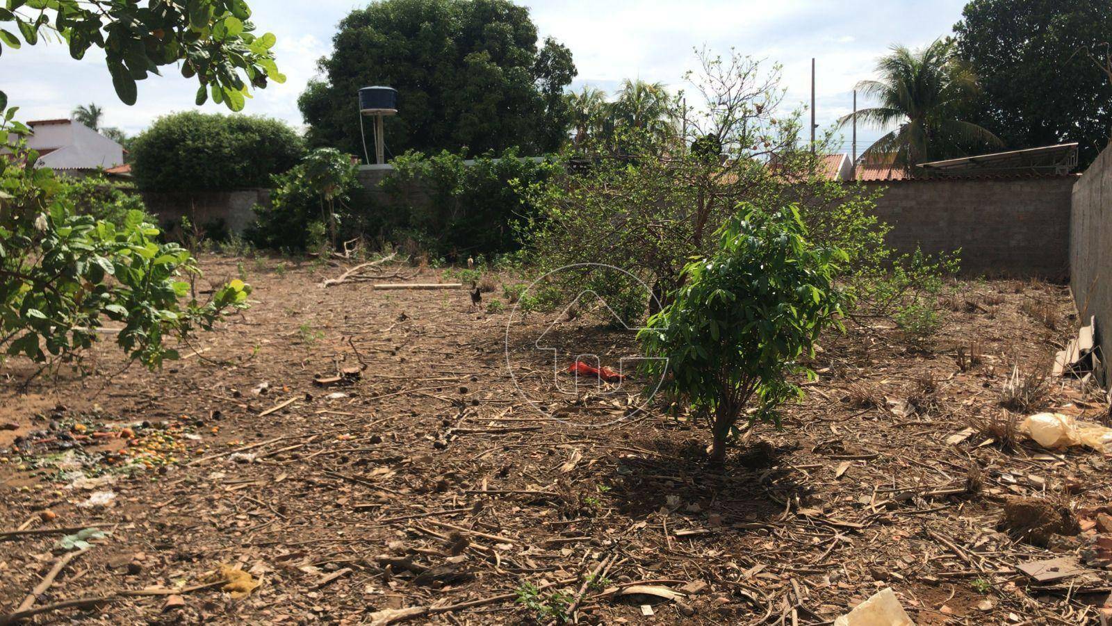 Terreno à venda, 326M2 - Foto 3