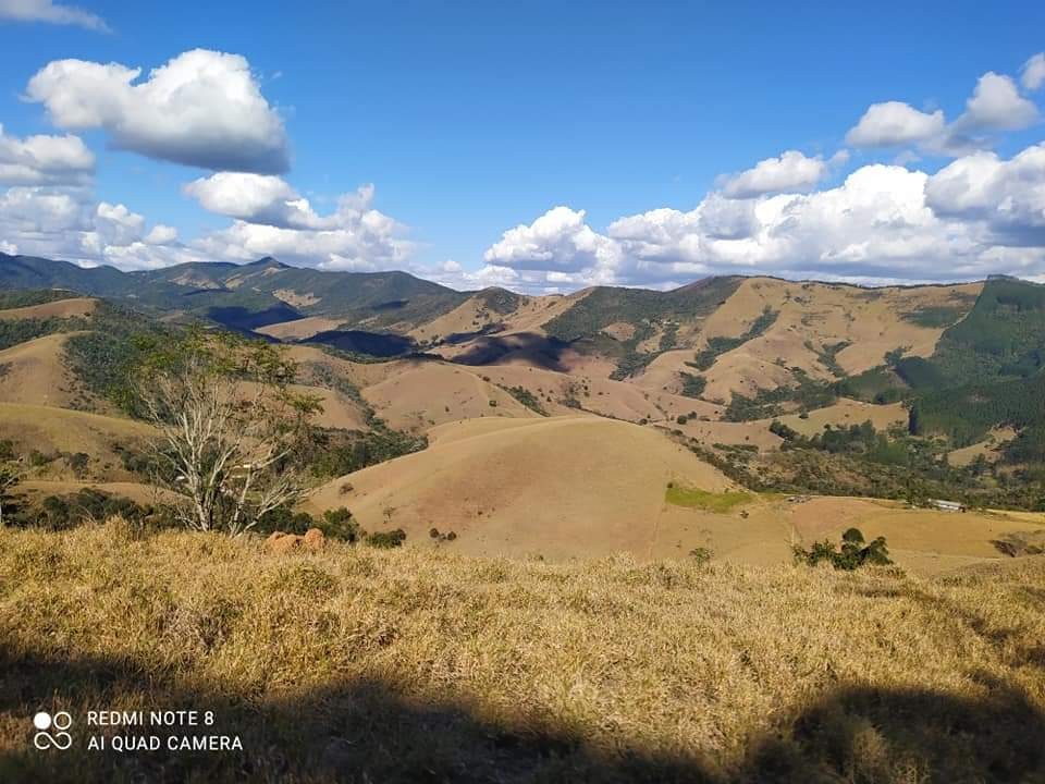 Terreno, 6 hectares - Foto 8