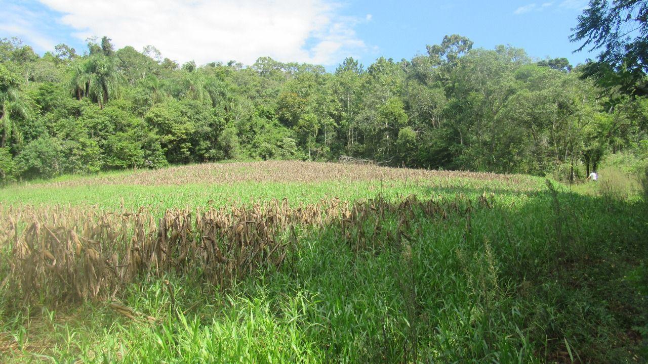 Loteamento e Condomínio à venda, 120000m² - Foto 24