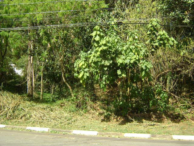 Loteamento e Condomínio à venda, 1307M2 - Foto 4