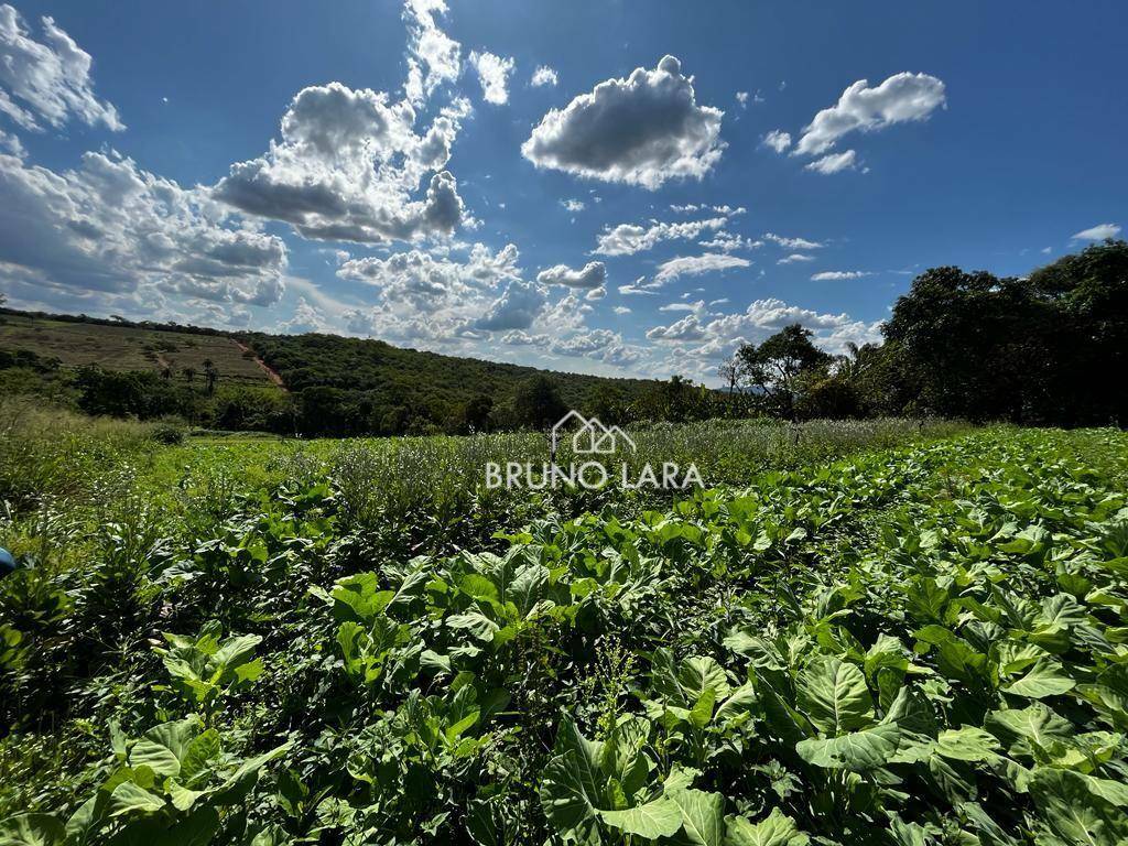 Terreno à venda, 40000M2 - Foto 4