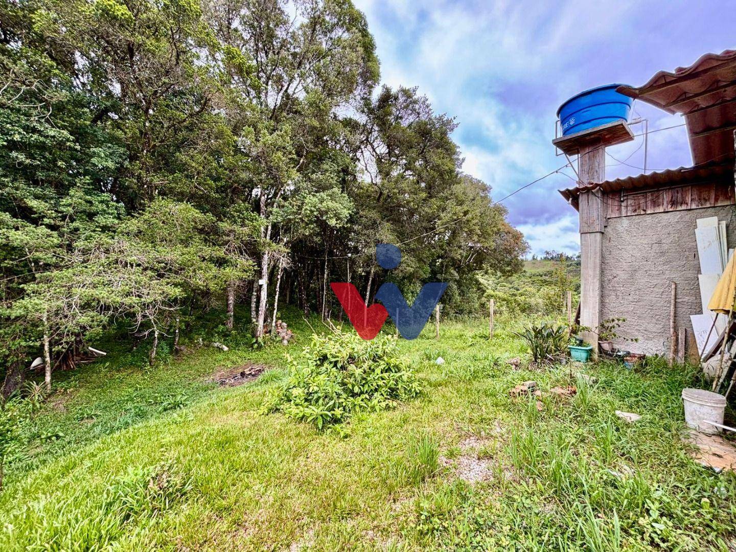 Chácara à venda com 2 quartos, 12000M2 - Foto 3