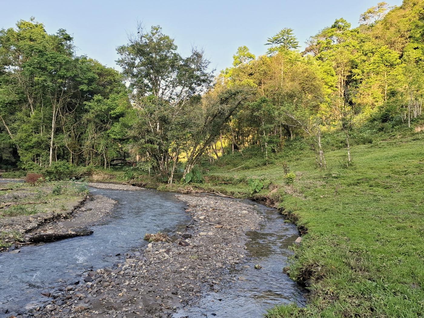 Fazenda à venda com 3 quartos, 90000m² - Foto 41