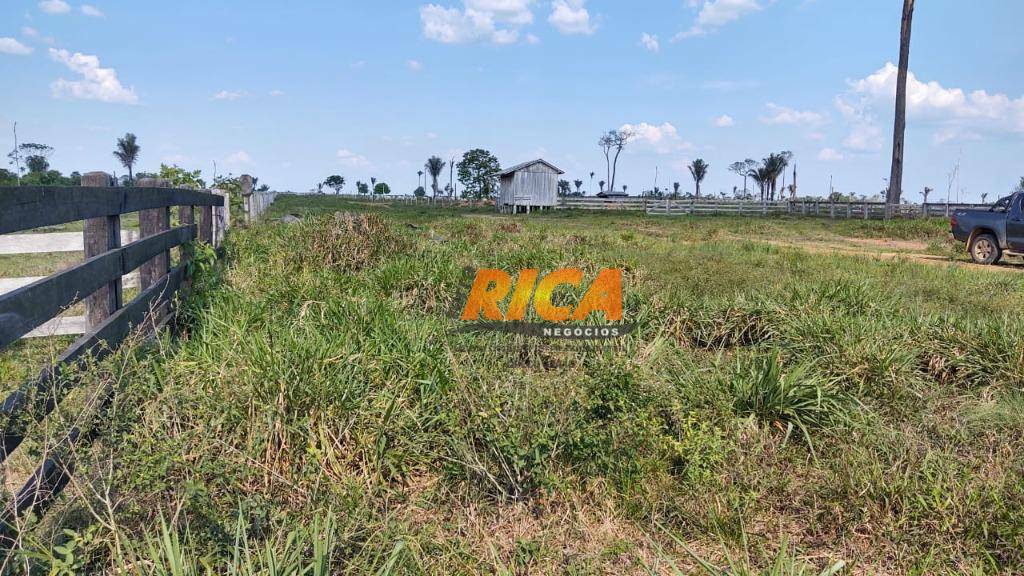 Fazenda à venda com 4 quartos, 99000000M2 - Foto 23