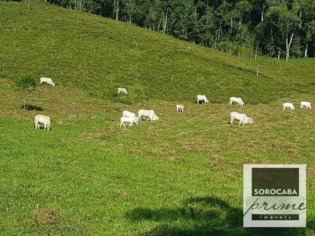 Fazenda à venda, 202000M2 - Foto 19