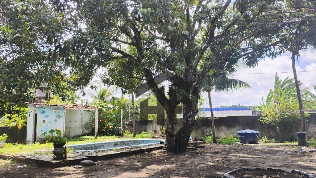 Casa à venda com 2 quartos, 990M2 - Foto 18