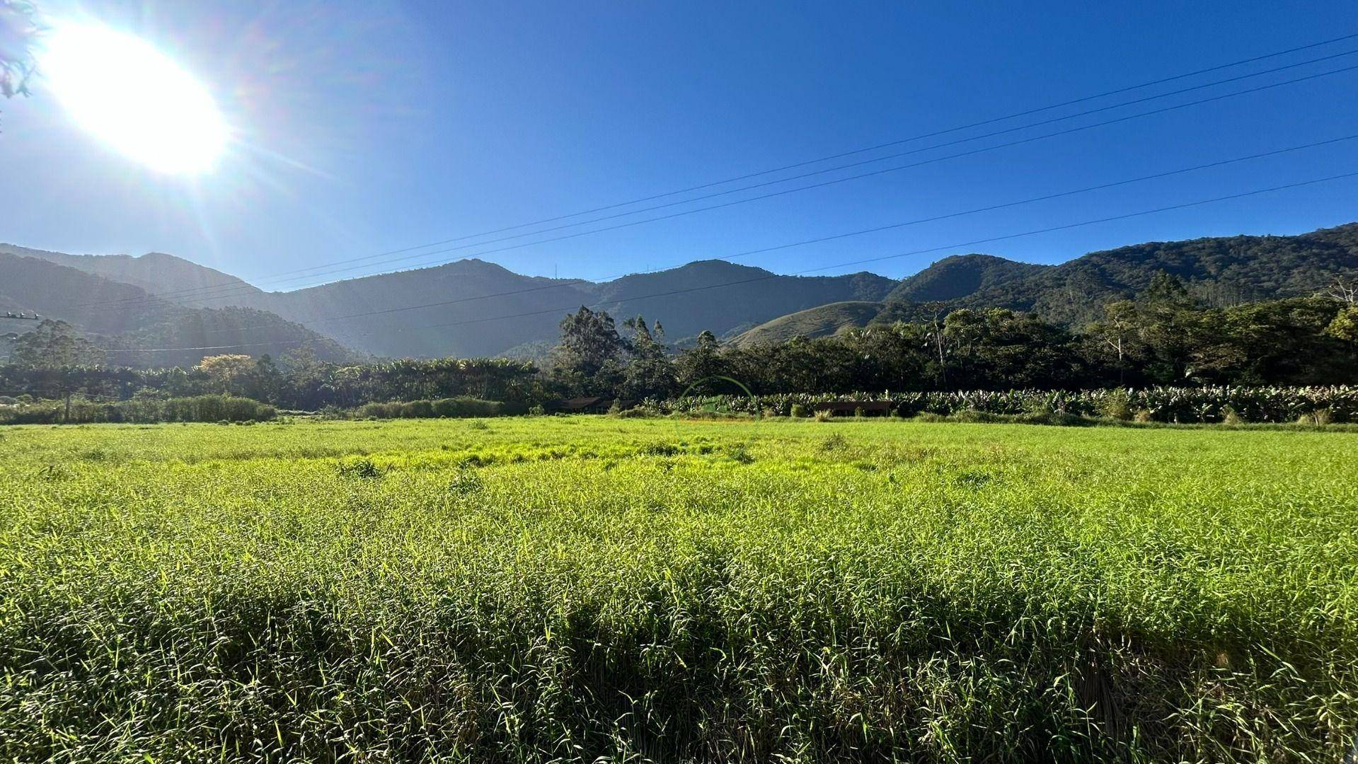 Sítio, 19 hectares - Foto 36