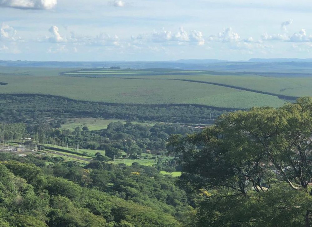Fazenda-Sítio-Chácara, 449 hectares - Foto 4