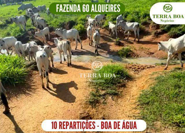 Fazenda à venda, 1452000M2 - Foto 1