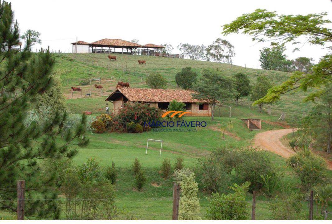 Fazenda, 363 hectares - Foto 5