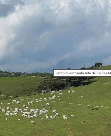 Fazenda, 147 hectares - Foto 2