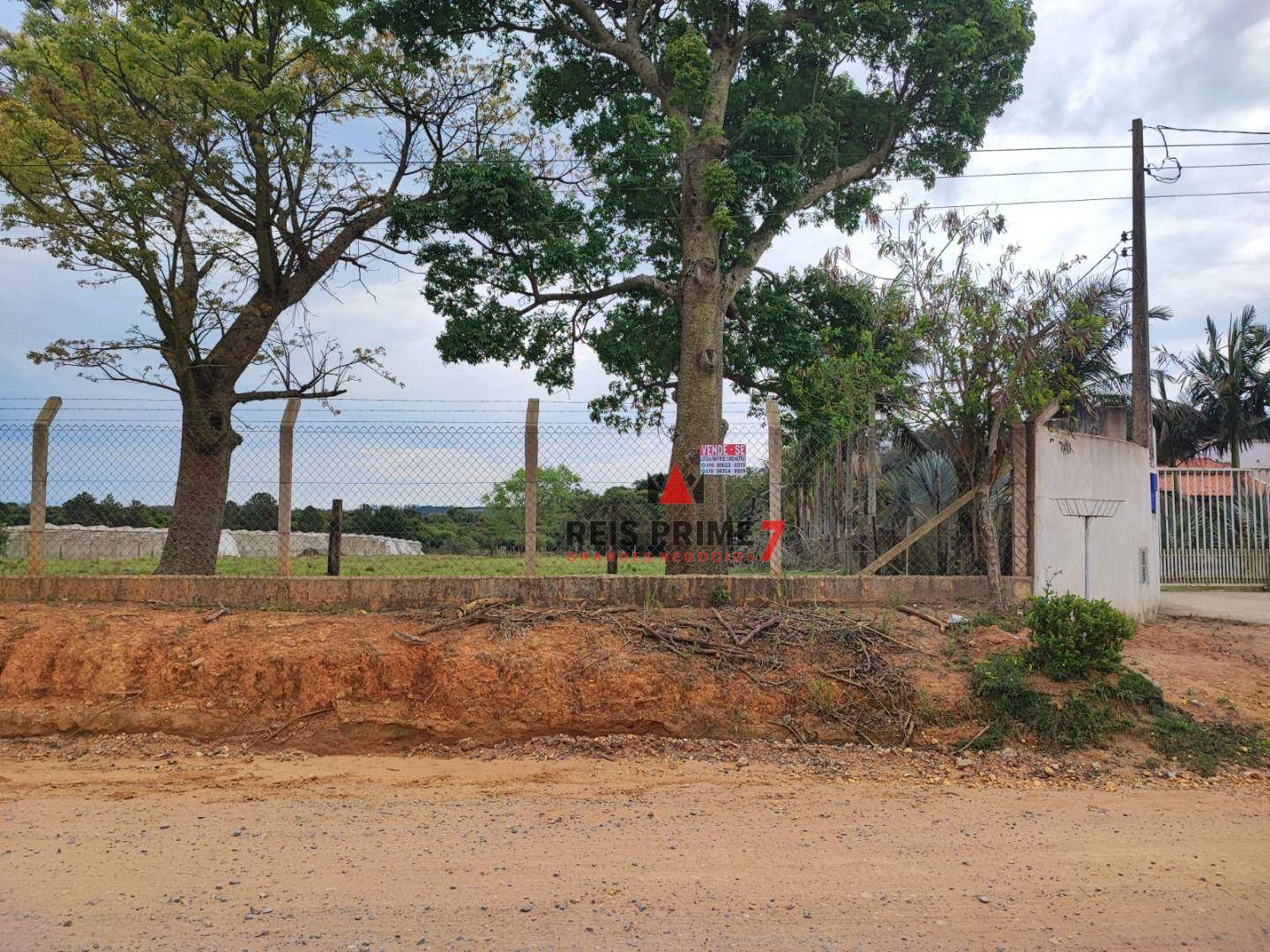 Terreno, 3 hectares - Foto 9