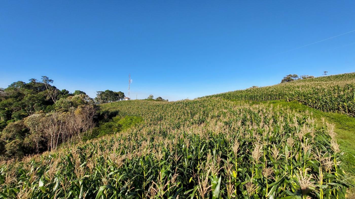 Fazenda à venda com 2 quartos, 925500m² - Foto 23