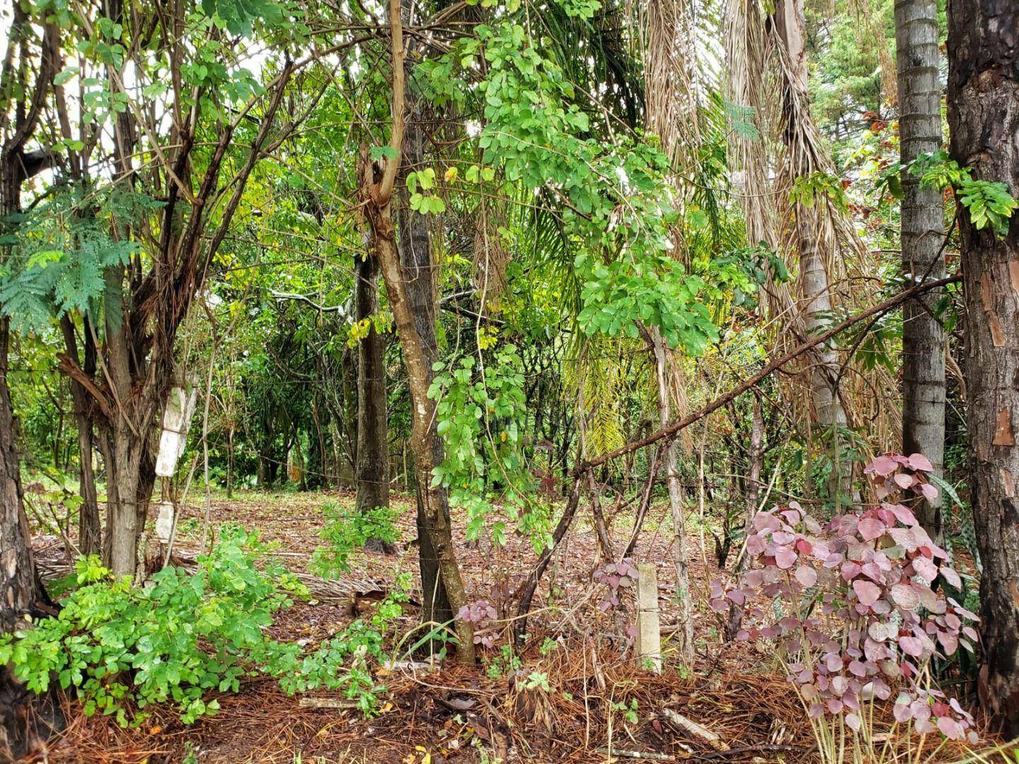 Terreno à venda, 1720M2 - Foto 1