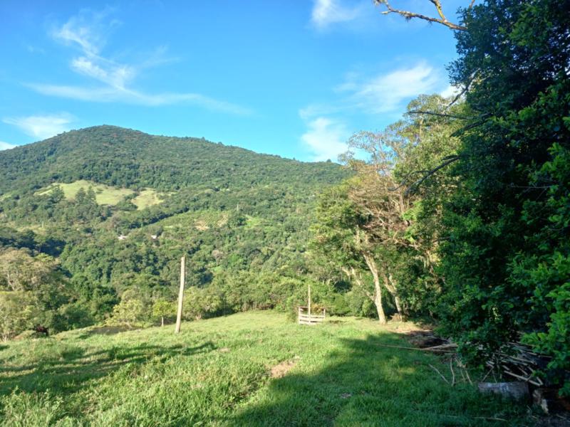 Sítio à venda com 1 quarto, 150m² - Foto 36