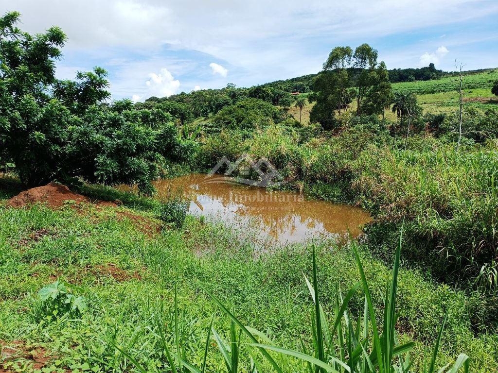 Fazenda à venda com 2 quartos, 3700m² - Foto 4