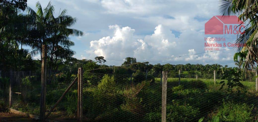 Chácara à venda com 4 quartos, 12100M2 - Foto 10