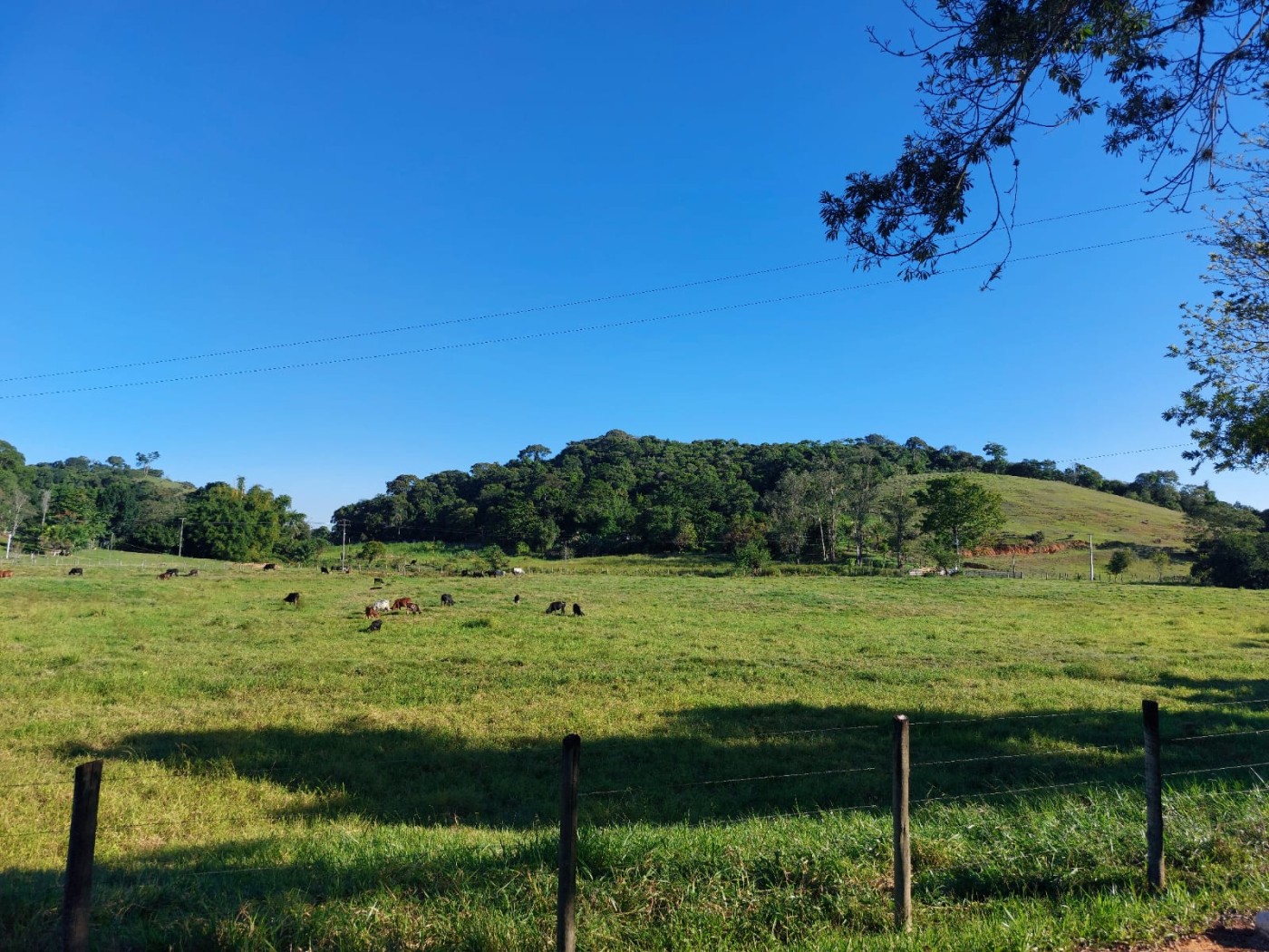 Fazenda à venda com 4 quartos, 34m² - Foto 26