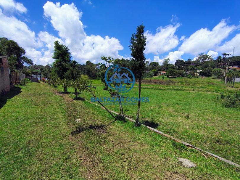 Sítio à venda com 4 quartos, 39000m² - Foto 34