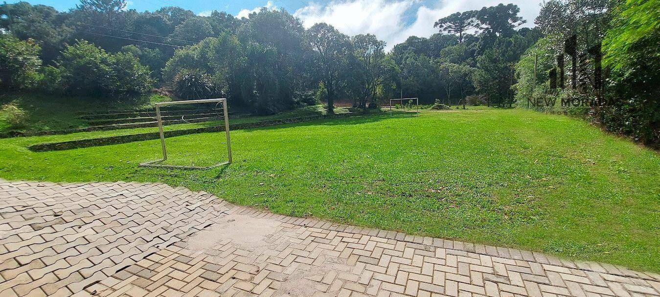 Chácara, 3 hectares - Foto 30