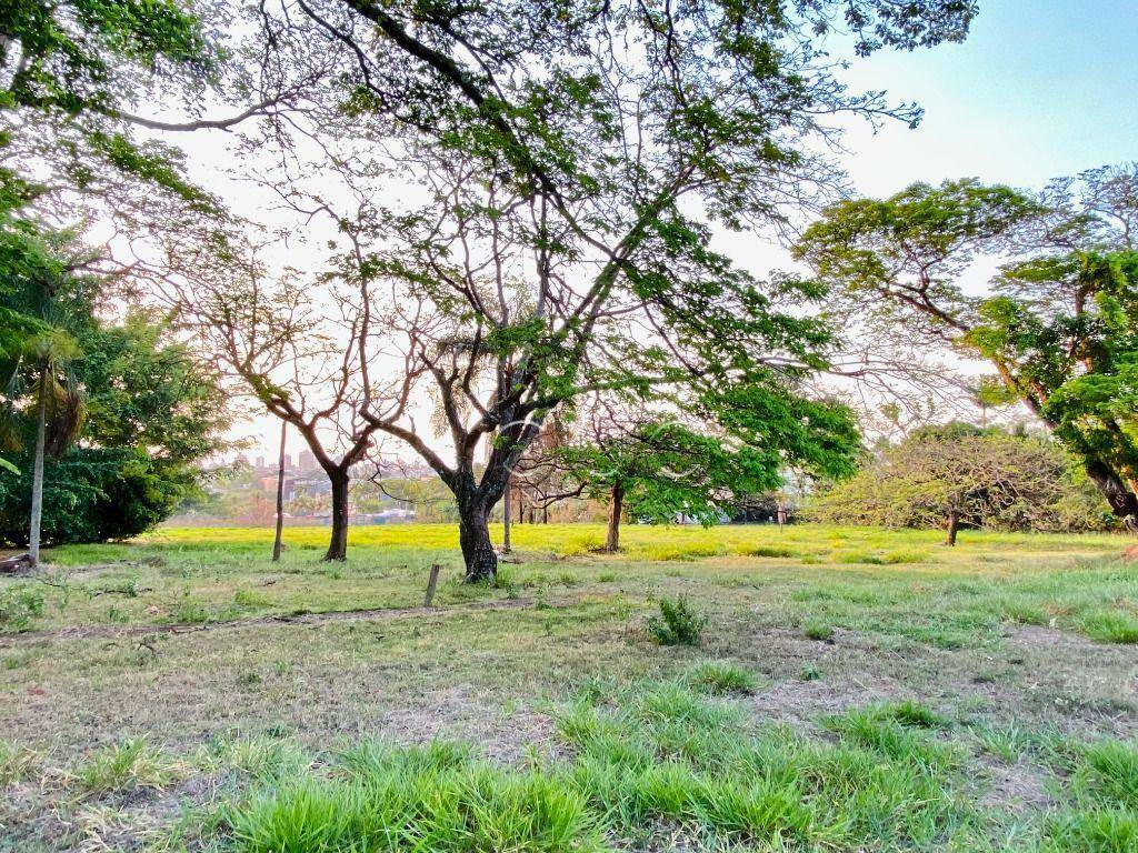 Terreno à venda, 34700M2 - Foto 19