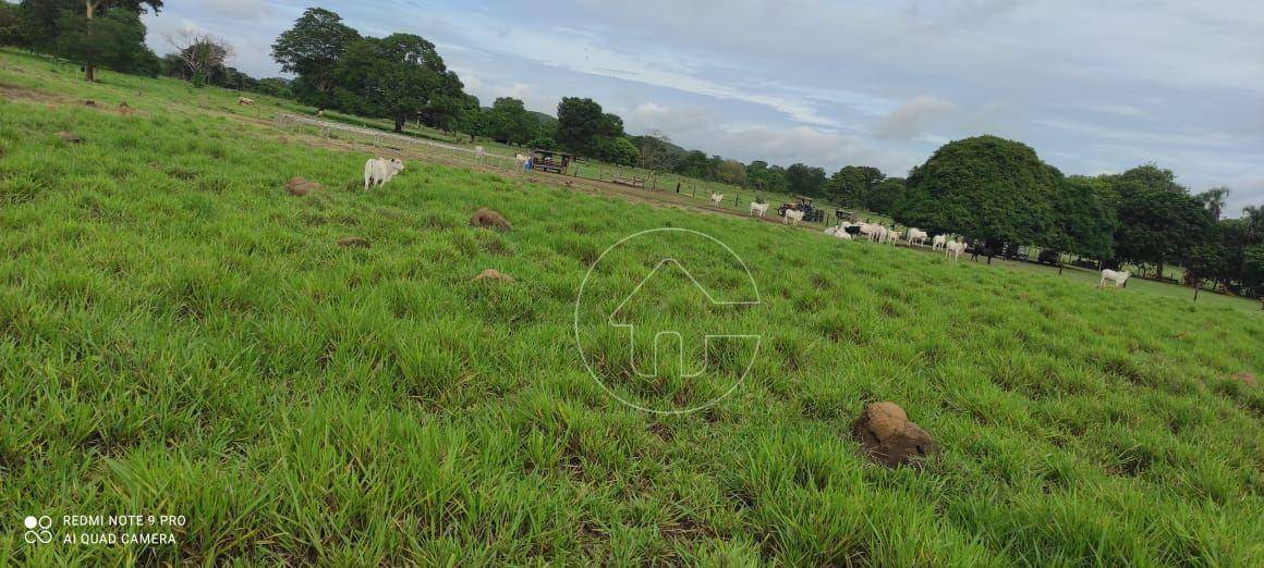 Fazenda à venda, 7800000M2 - Foto 1