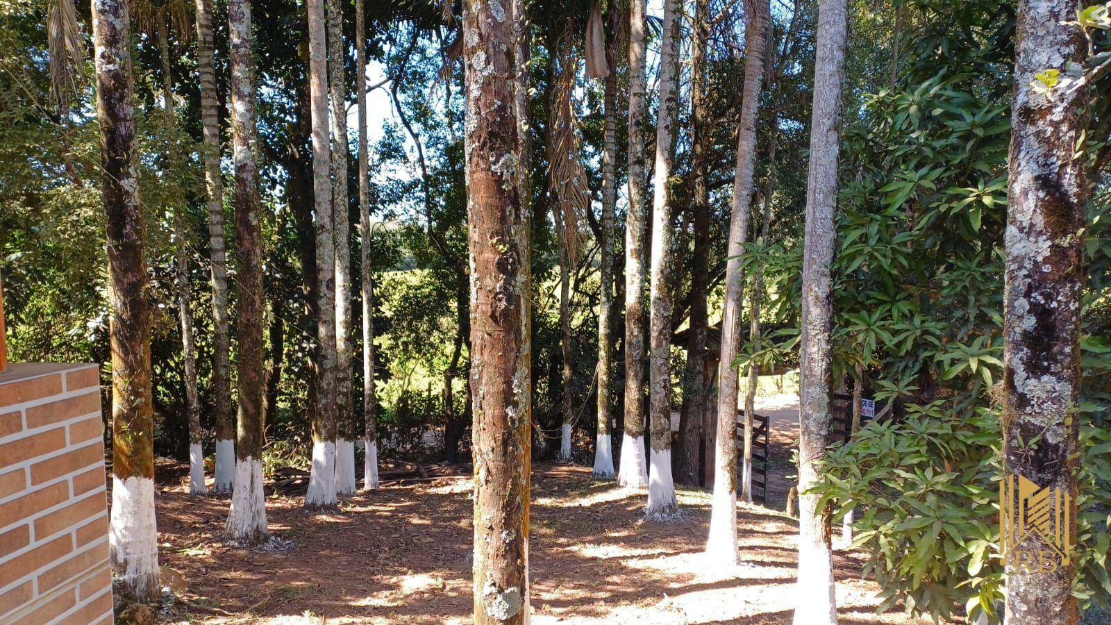 Chácara à venda com 2 quartos, 10500M2 - Foto 11