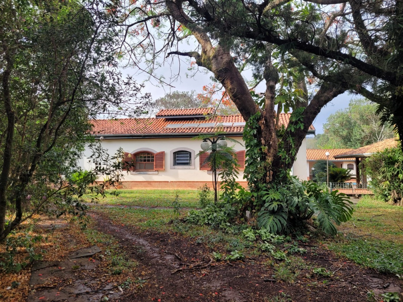 Casa à venda com 4 quartos, 2000m² - Foto 31