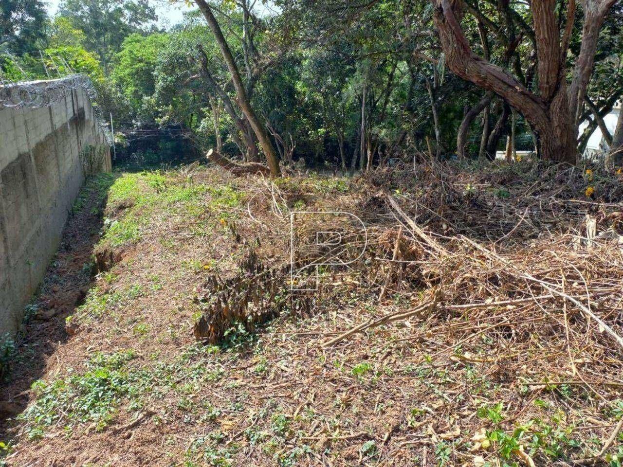 Loteamento e Condomínio à venda, 1236M2 - Foto 6