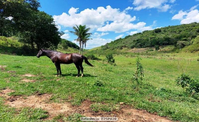 Sítio à venda com 2 quartos, 240000m² - Foto 19