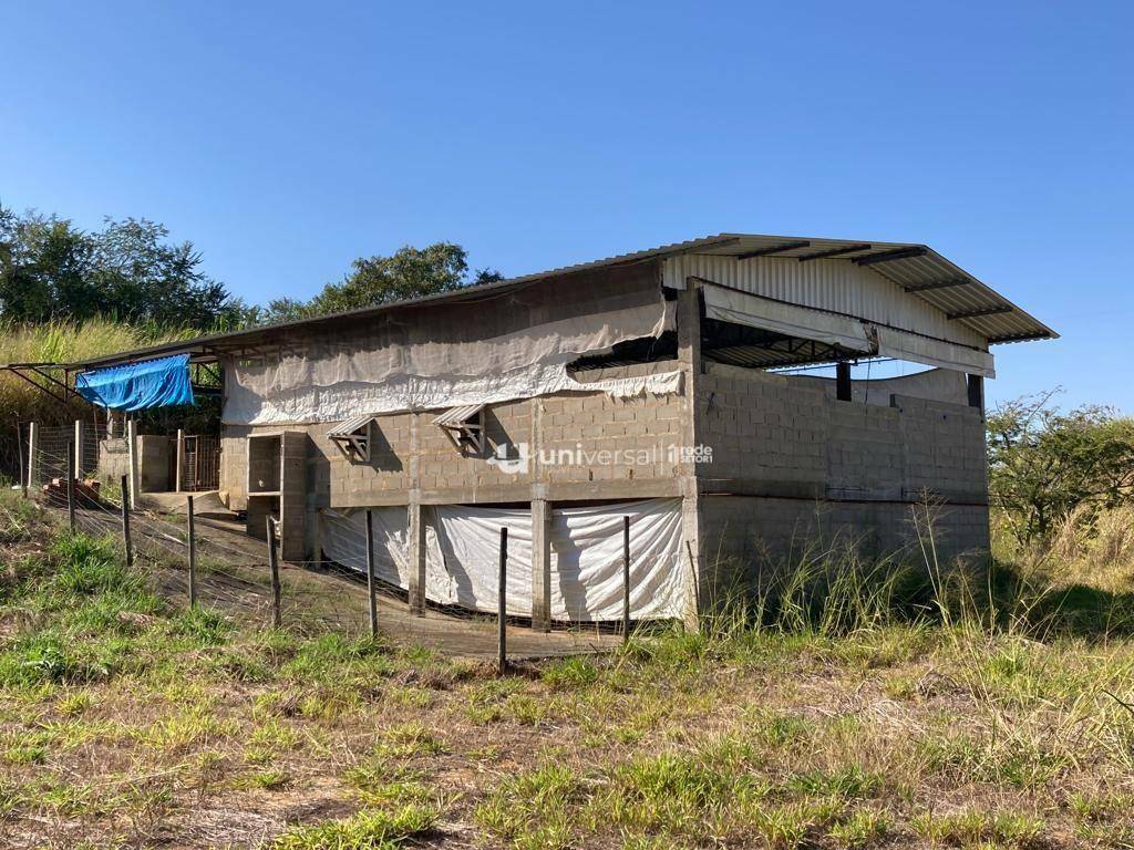 Fazenda à venda com 5 quartos, 383100M2 - Foto 36