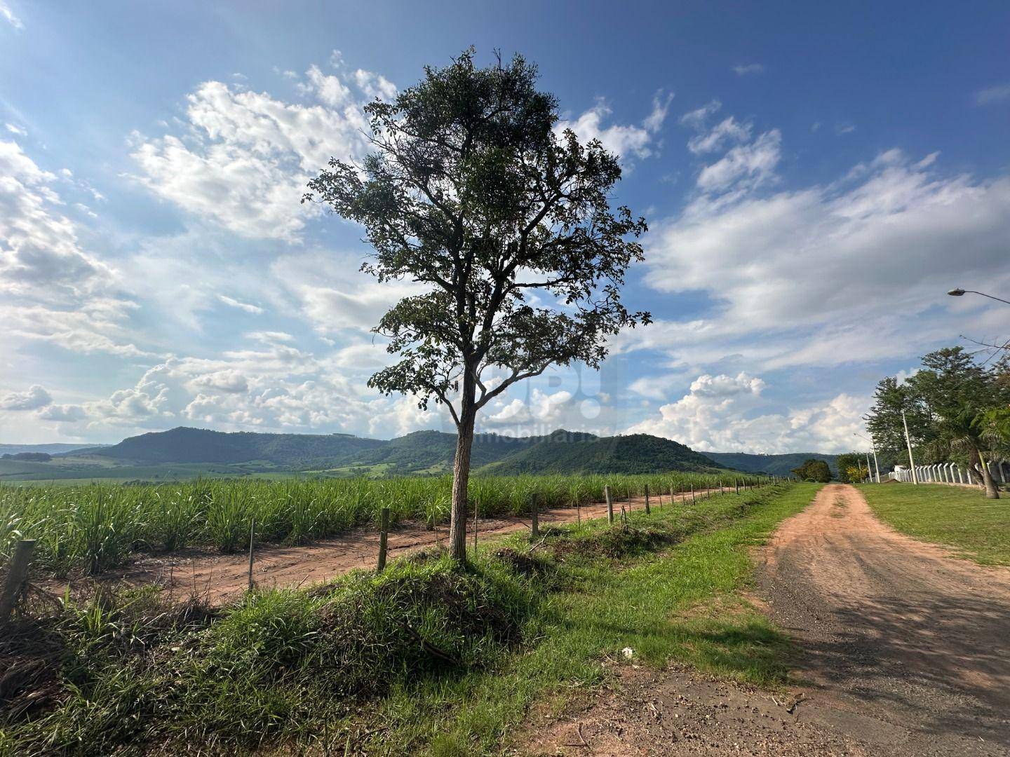 Chácara, 18 quartos, 5600 m² - Foto 4