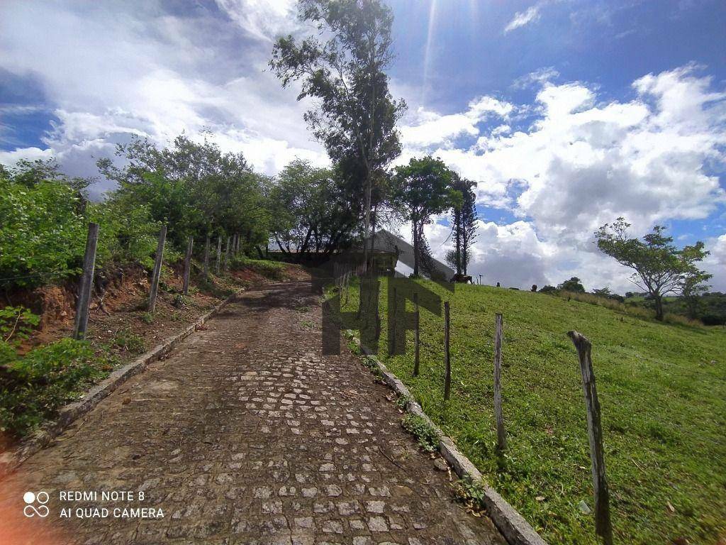 Chácara à venda com 4 quartos, 37000M2 - Foto 11