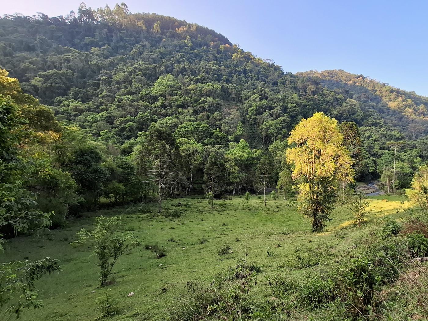 Fazenda à venda com 3 quartos, 90000m² - Foto 43