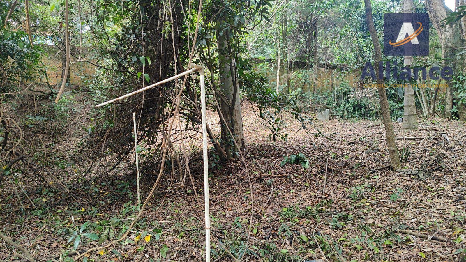 Terreno à venda, 1000M2 - Foto 9