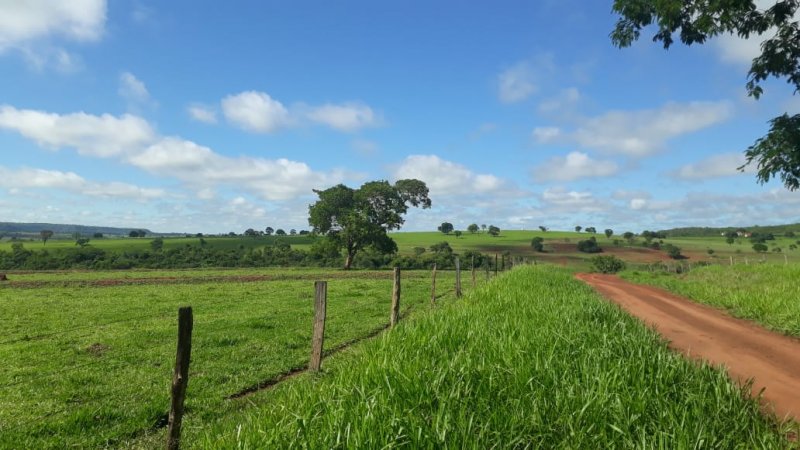 Fazenda à venda, 280m² - Foto 8