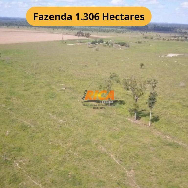 Fazenda-Sítio-Chácara, 1306 hectares - Foto 1