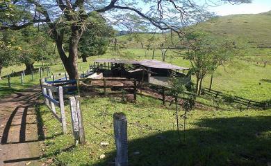 Fazenda à venda com 3 quartos, 40000m² - Foto 16