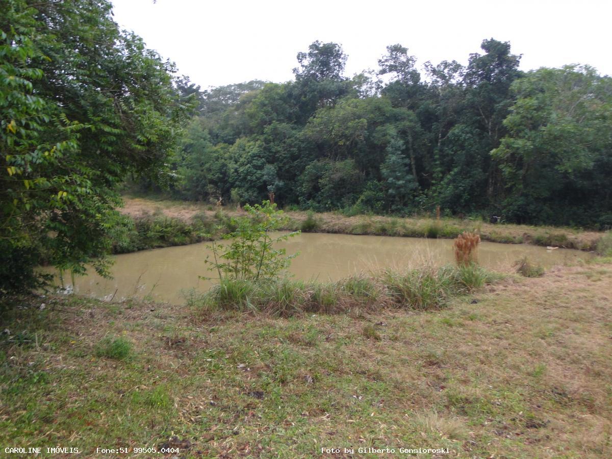 Fazenda à venda com 6 quartos, 493400m² - Foto 29