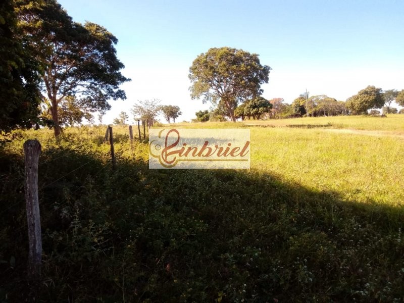 Fazenda à venda, 11000000m² - Foto 9