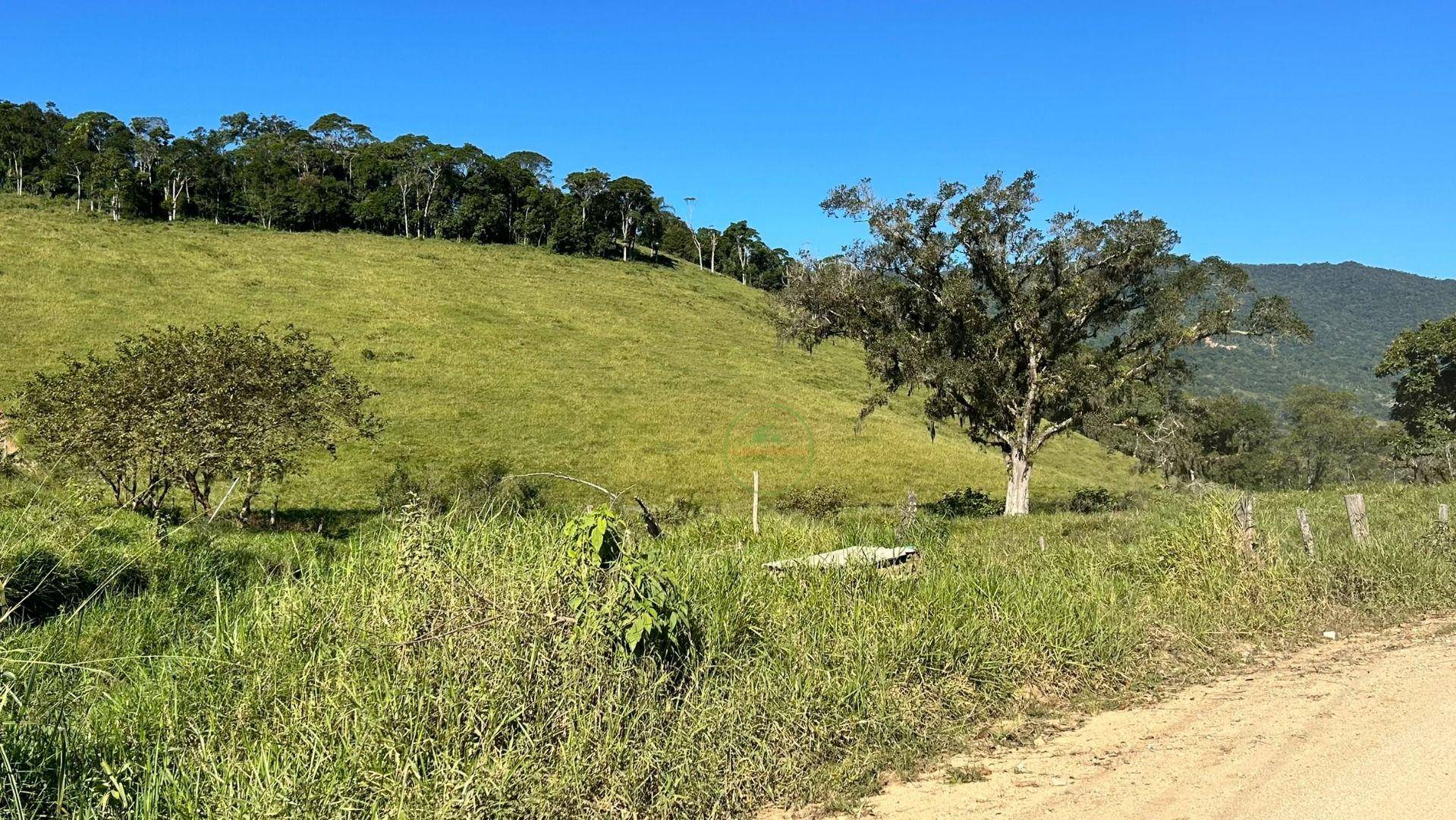 Terreno, 27 hectares - Foto 32