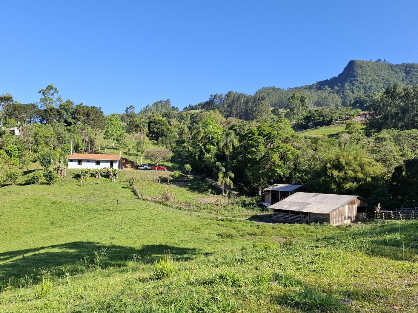 Fazenda à venda com 3 quartos, 90000m² - Foto 36