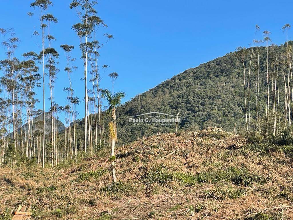 Terreno, 30 hectares - Foto 5