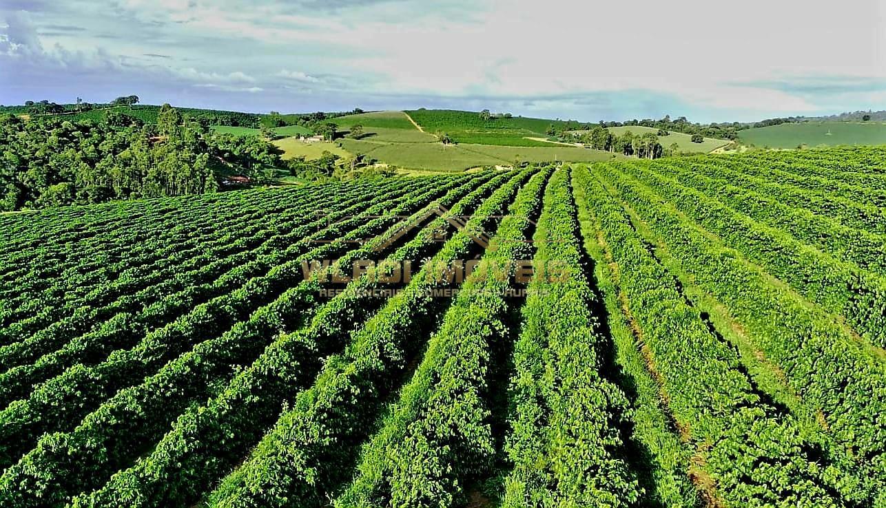 Fazenda à venda, 40m² - Foto 22