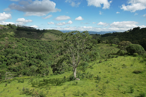 Terreno à venda, 75000M2 - Foto 1