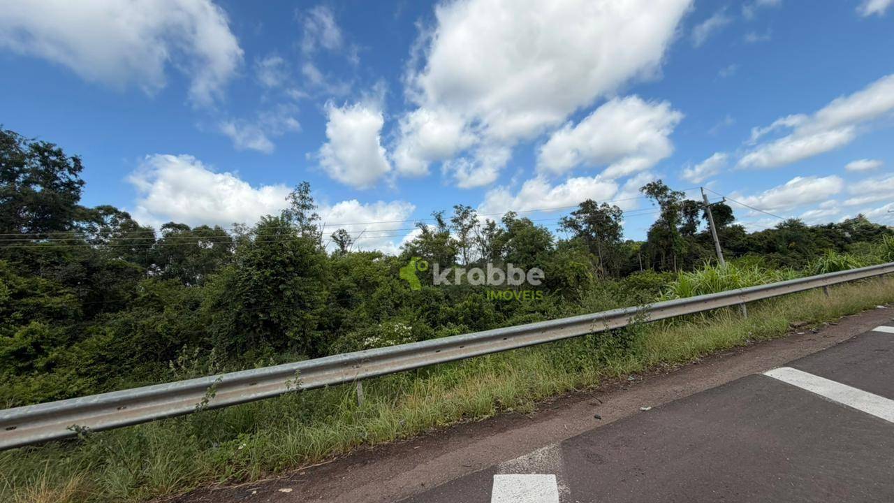 Terreno, 2 hectares - Foto 5