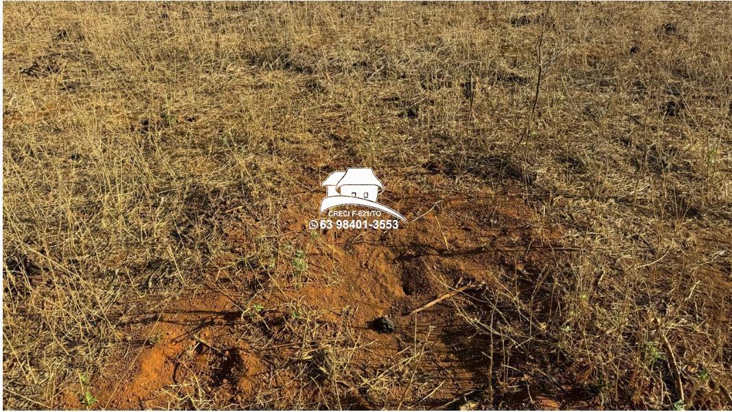 Fazenda para alugar, 1m² - Foto 6