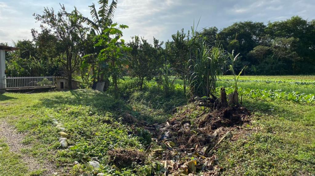 Chácara à venda com 3 quartos, 12000m² - Foto 12
