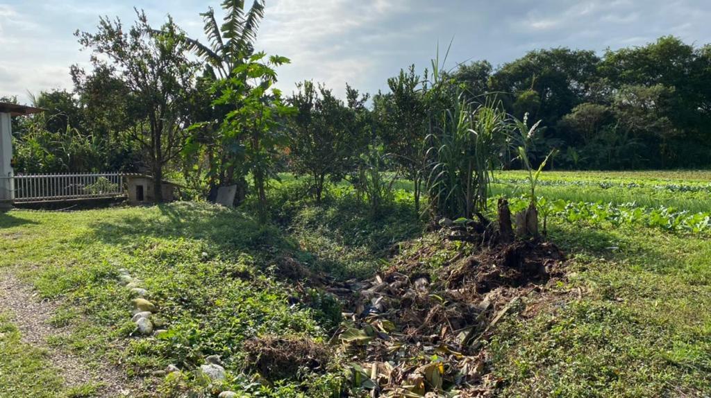 Fazenda à venda com 3 quartos, 12000m² - Foto 12