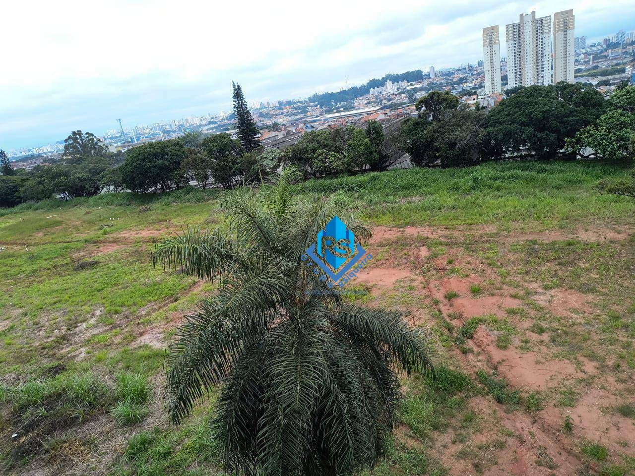 Terreno, 2 hectares - Foto 2